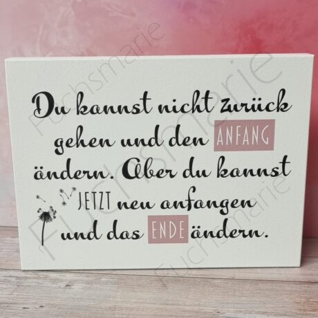 Holzschild mit Text: Du kannst nicht zurück gehen und den Anfang ändern, aber du kannst jetzt neu anfangen und das Ende ändern.