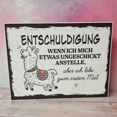 Holzbild mit Text: Entschuldigung, wenn ich mich etwas ungeschickt anstelle, aber ich lebe zum ersten Mal.