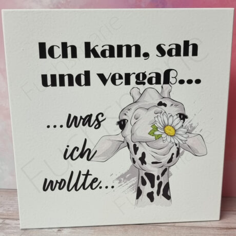 Ich kam, sah und vergaß was ich wollte - groß Quadrat