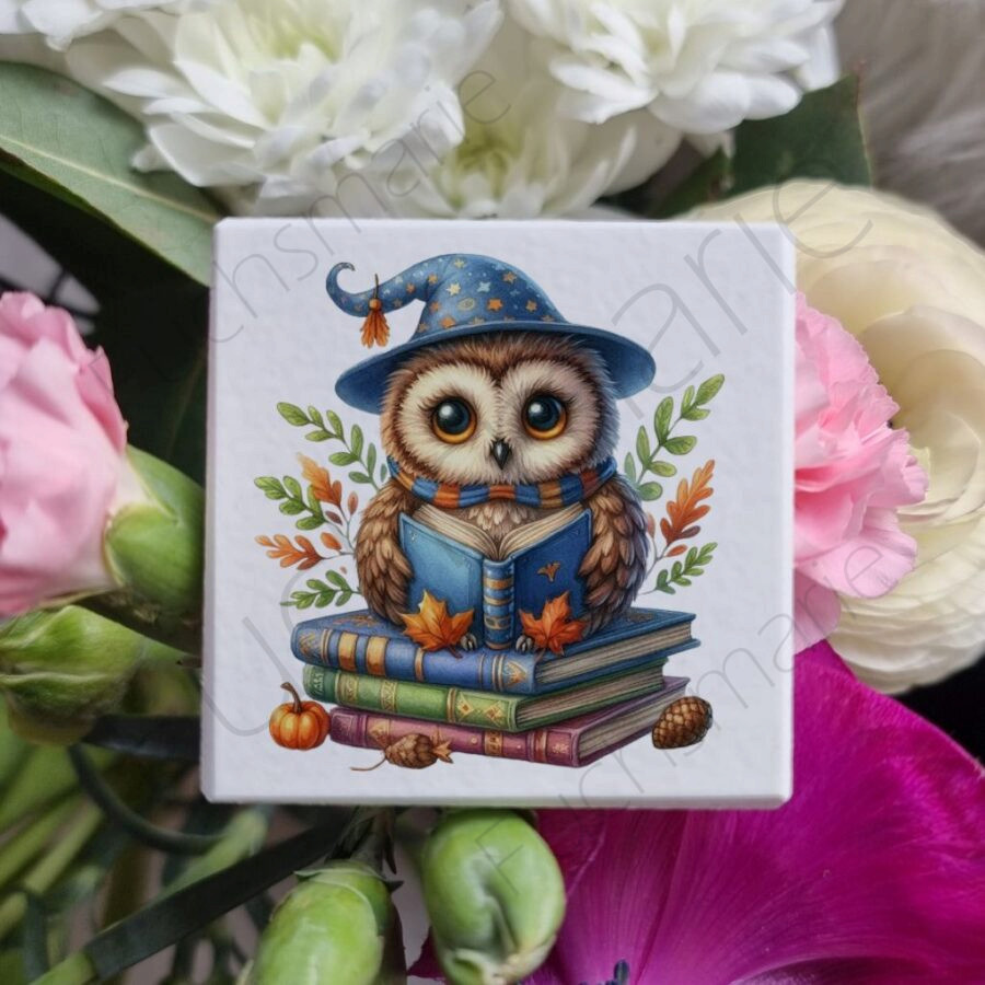 Magnet mit Motiv Eule auf Büchern