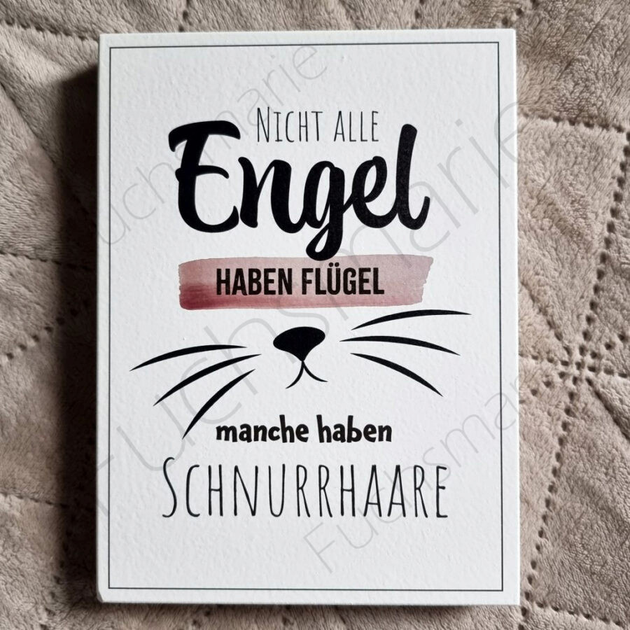 Nicht alle Engel haben Flügel, manche haben Schnurrhaare – Bild 2